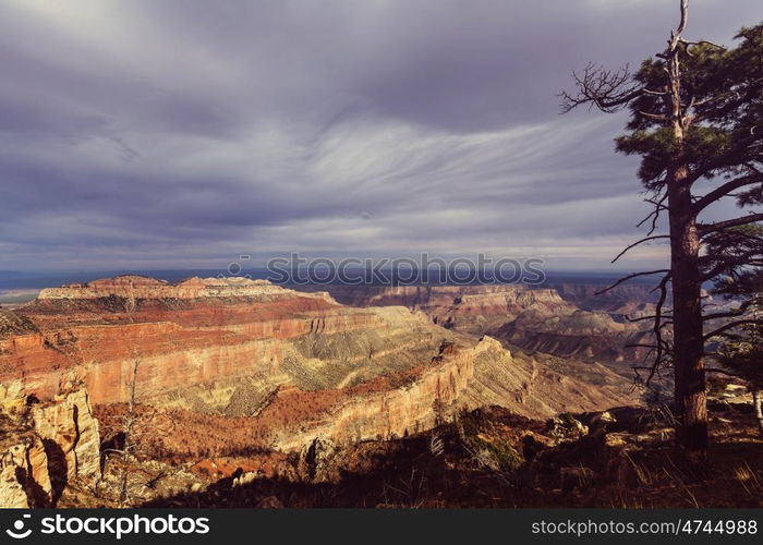 Picturesque landscapes of the Grand Canyon