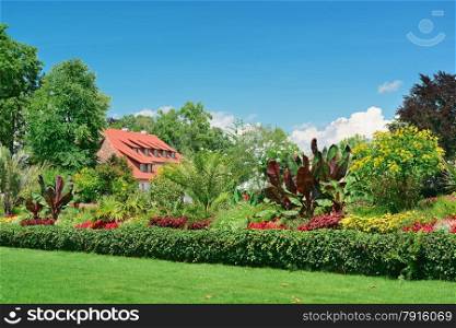 picturesque lawn in the park