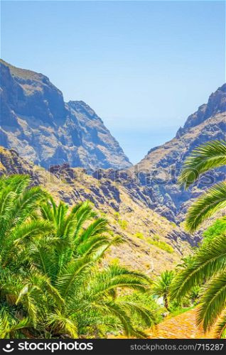Picturesque Masca Gorge in Tenerife, Canaries, Spain