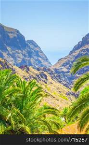 Picturesque Masca Gorge in Tenerife, Canaries, Spain