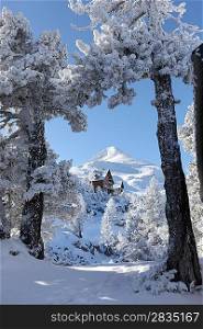 Picturesque mountain cabin