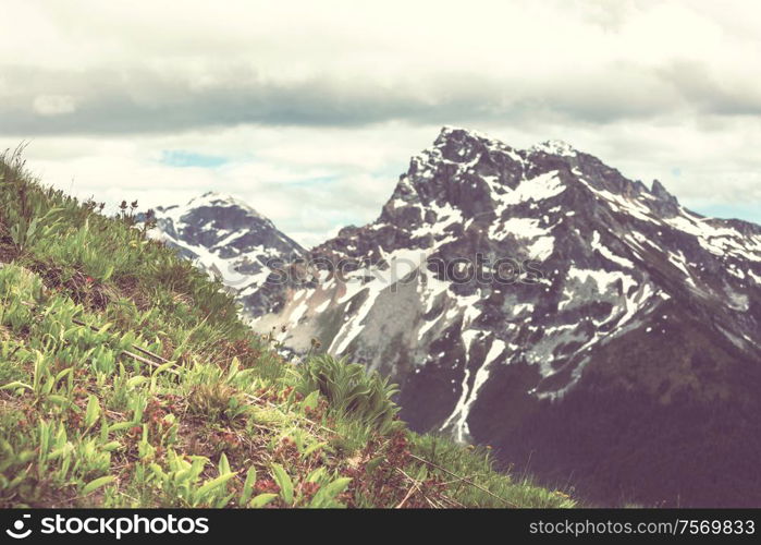 Picturesque mountain landscape on rainy day in Summer time. Good for natural background.