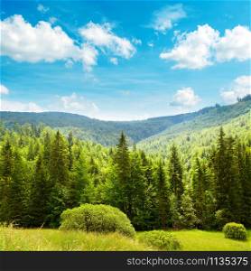 Picturesque mountain valley and bright blue sky. Carpathians.