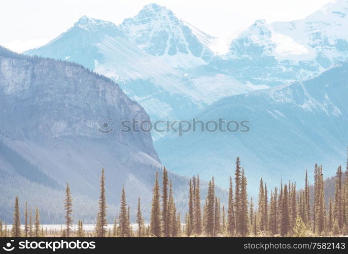 Picturesque mountain view in the Canadian Rockies in summer season