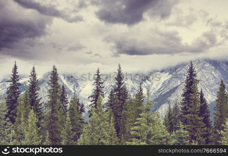 Picturesque mountain view in the Canadian Rockies in summer season