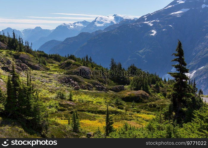 Picturesque mountain view in the Canadian Rockies in summer season