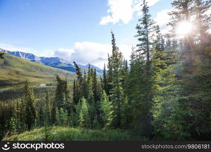 Picturesque mountain view in the Canadian Rockies in summer season