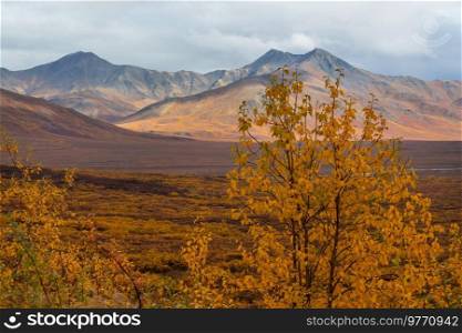 Picturesque Mountains of Alaska in autumn. Snow covered massifs, glaciers and rocky peaks, orange trees. Beautiful natural background.