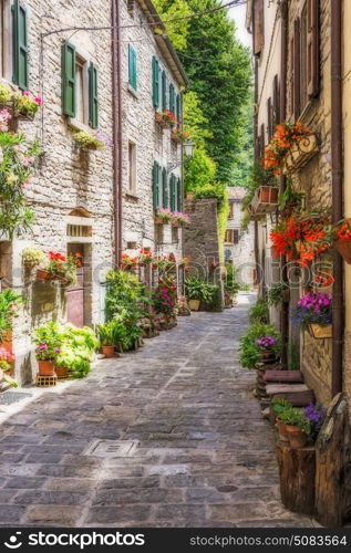 Picturesque old street with flowers in Italy