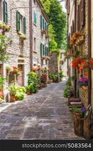 Picturesque old street with flowers in Italy