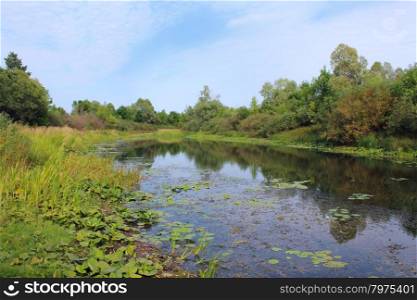 Picturesque pond with water-lilies. beautiful summer landscape with picturesque pond with water-lilies