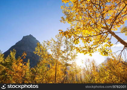 Picturesque rocky peaks of the Glacier National Park, Montana, USA. Autumn season. Beautiful natural landscapes.