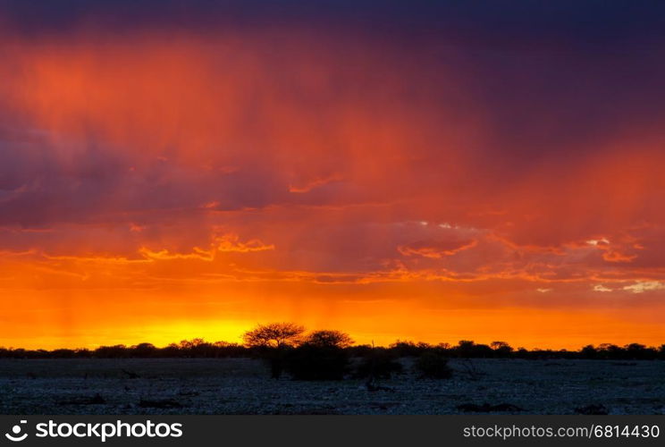 Picturesque scene of Etosha national park over sunset, Namibia