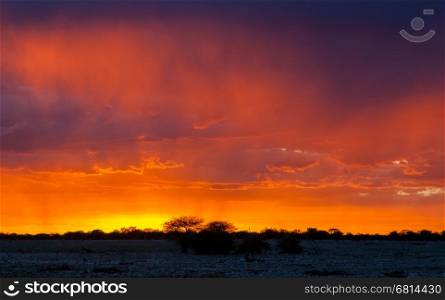 Picturesque scene of Etosha national park over sunset, Namibia