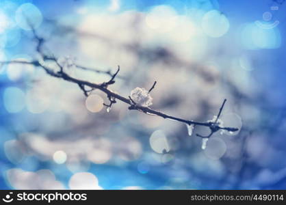 Picturesque snow-covered forest in the winter