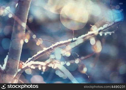 Picturesque snow-covered forest in the winter