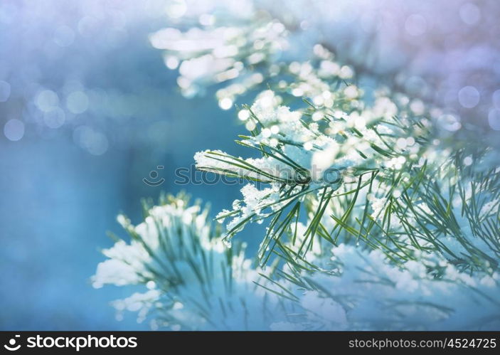 Picturesque snow-covered forest in the winter