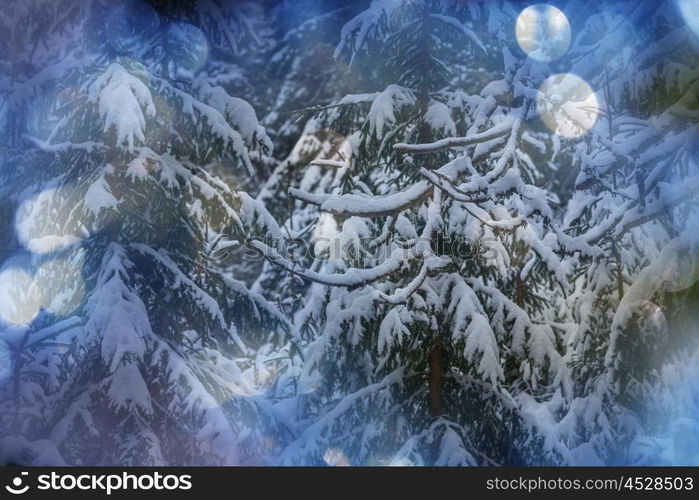 Picturesque snow-covered forest in the winter