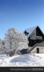 Picturesque snow covered house