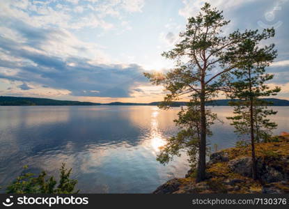 Picturesque stone shore of the island on the lake . Ladoga Skerries, Karelia.. Pine trees on the edge of the shore of the island on lake Ladoga .