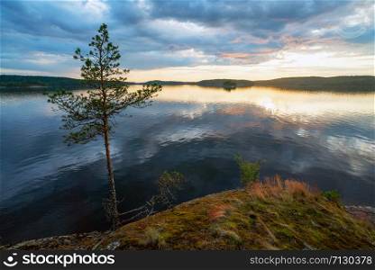 Picturesque stone shore of the island on the lake . Ladoga Skerries, Karelia.. Pine on the edge of the picturesque shore of the island on lake Ladoga .