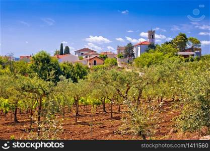 Picturesque stone village of Nova Vas in green landscape view, Istria region of Croatia