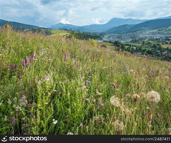Picturesque summer Carpathian mountain countryside meadows. Abundance of vegetation and beautiful wild flowers.