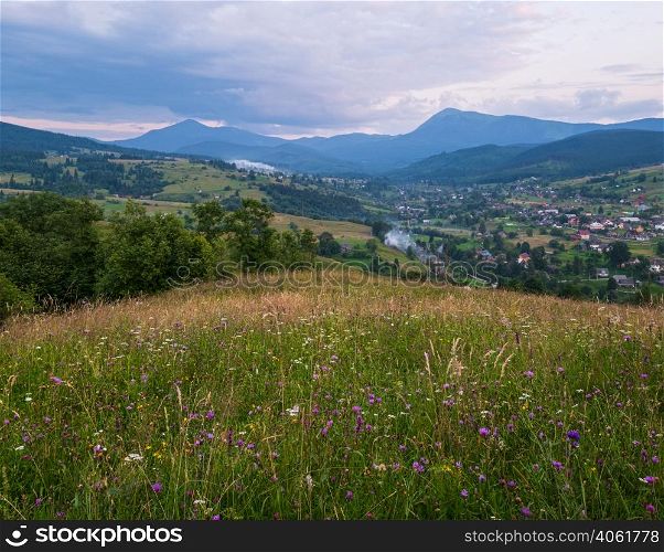 Picturesque summer Carpathian mountain countryside meadows. Abundance of vegetation and beautiful wild flowers. Hoverla and Petros tops in far.