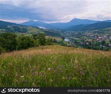 Picturesque summer Carpathian mountain countryside meadows. Abundance of vegetation and beautiful wild flowers. Hoverla and Petros tops in far.