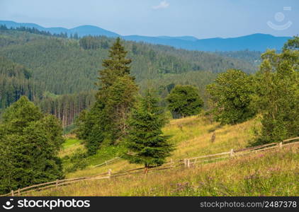 Picturesque summer Carpathian mountain countryside view, Ukraine