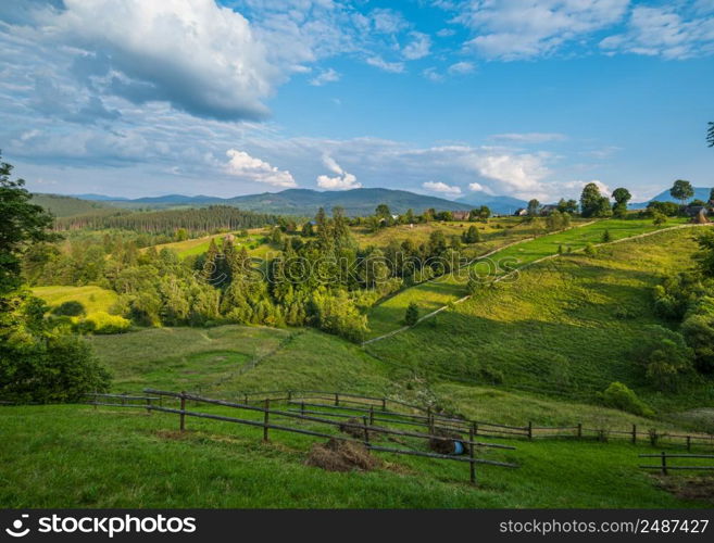 Picturesque summer Carpathian mountain countryside view, Ukraine