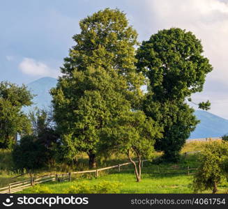 Picturesque summer Carpathian mountain countryside view, Ukraine