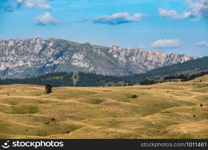 Picturesque summer mountain landscape of Durmitor National Park, Montenegro, Europe, Balkans Dinaric Alps, UNESCO World Heritage. Durmitor panoramic road.