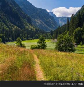 Picturesque summer mountain landscape of Durmitor National Park, Montenegro, Europe, Balkans Dinaric Alps, UNESCO World Heritage. Grassland in mountain swampy hollow.