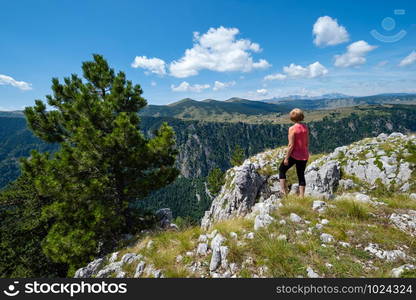 Picturesque summer mountain landscape of Tara Canyon in mountain Durmitor National Park, Montenegro, Europe, Balkans Dinaric Alps, UNESCO World Heritage.