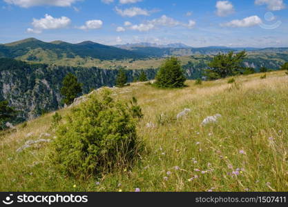 Picturesque summer mountain landscape of Tara Canyon in mountain Durmitor National Park, Montenegro, Europe, Balkans Dinaric Alps, UNESCO World Heritage.