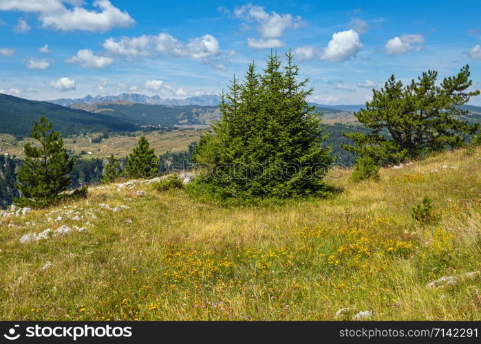 Picturesque summer mountain landscape of Tara Canyon in mountain Durmitor National Park, Montenegro, Europe, Balkans Dinaric Alps, UNESCO World Heritage.