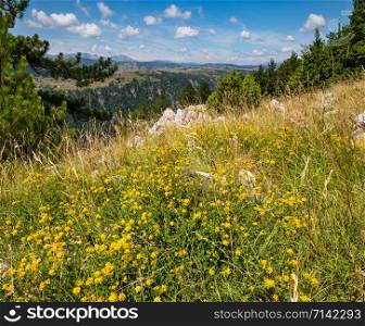 Picturesque summer mountain landscape of Tara Canyon in mountain Durmitor National Park, Montenegro, Europe, Balkans Dinaric Alps, UNESCO World Heritage.