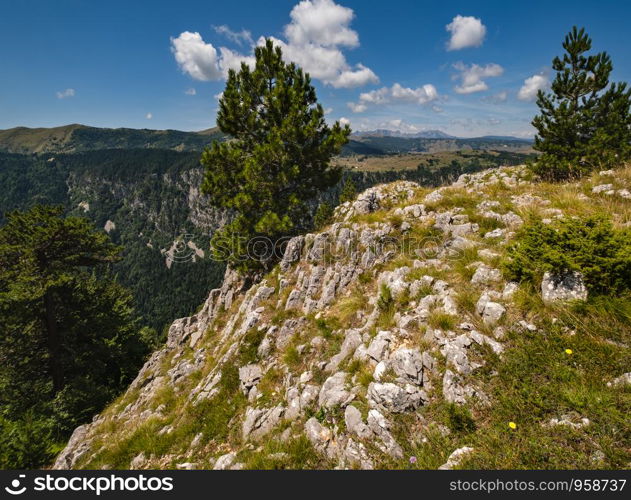 Picturesque summer mountain landscape of Tara Canyon in mountain Durmitor National Park, Montenegro, Europe, Balkans Dinaric Alps, UNESCO World Heritage.