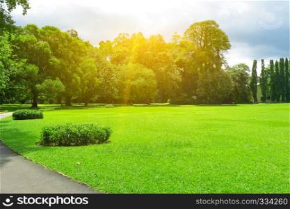 Picturesque summer park with large glade covered green grass