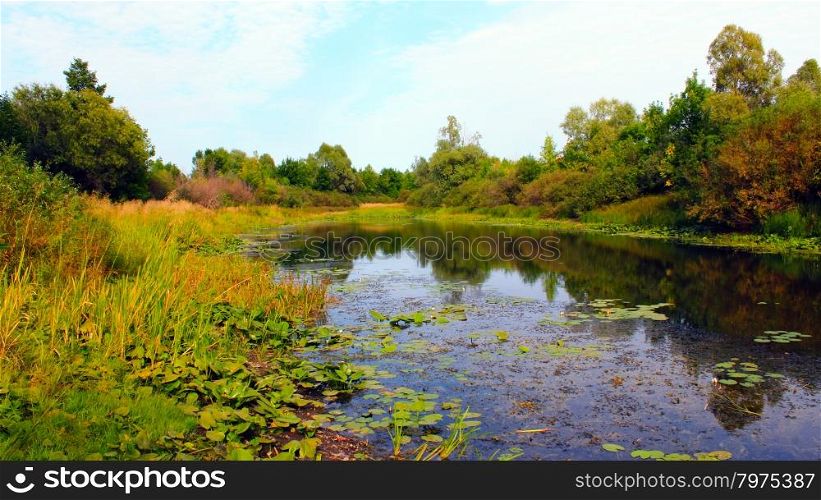 Picturesque summer pond with water-lilies. beautiful summer landscape with picturesque pond with water-lilies