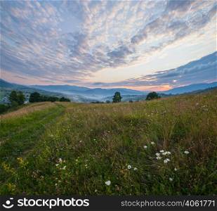 Picturesque summer twilight Carpathian mountain countryside meadows. Abundance of vegetation and beautiful wild flowers.