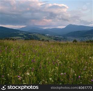 Picturesque summer twilight Carpathian mountain countryside meadows. Abundance of vegetation and beautiful wild flowers. Hoverla and Petros tops in far.
