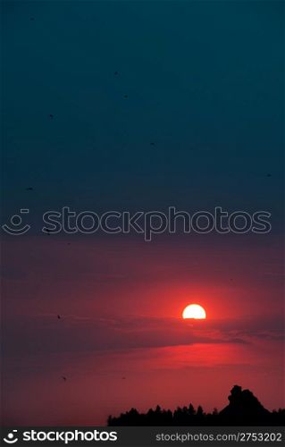 Picturesque sunset.Above mountain and a wood. Silhouette the image