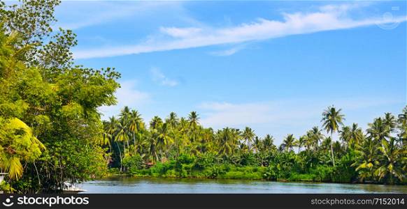 Picturesque tropical landscape. Lake, coconut palms and mangroves. Sri Lanka. Wide photo .