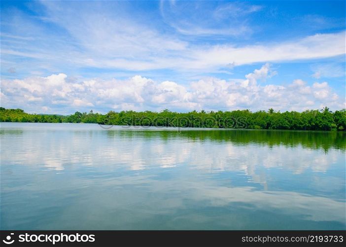 Picturesque tropical landscape. Mangrove forests on the shore of the lake and the sky with beautiful clouds.