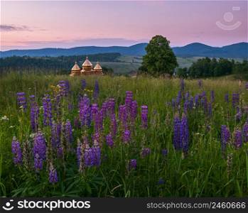 Picturesque twilight June Carpathian mountain countryside meadows and domes of the church in far. Abundance of vegetation and beautiful wild flowers.