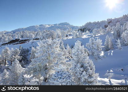 Picturesque winter scene