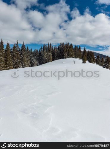 Picturesque winter sunny day Carpathian mountain view from Skupova mountain slope, Ukraine.