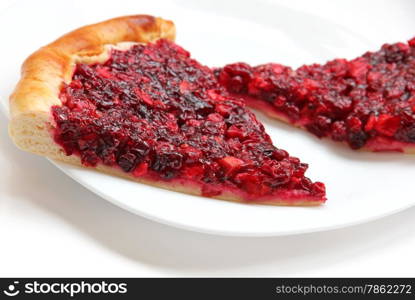 Piece of apple and cowberry jelly pie on the white plate